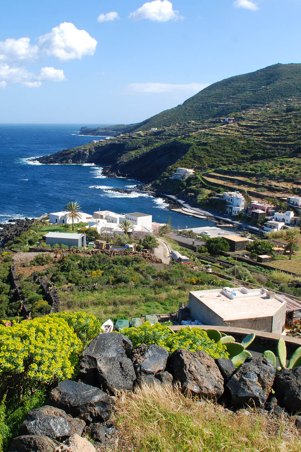 isola di pantelleria sicilia zibibbo